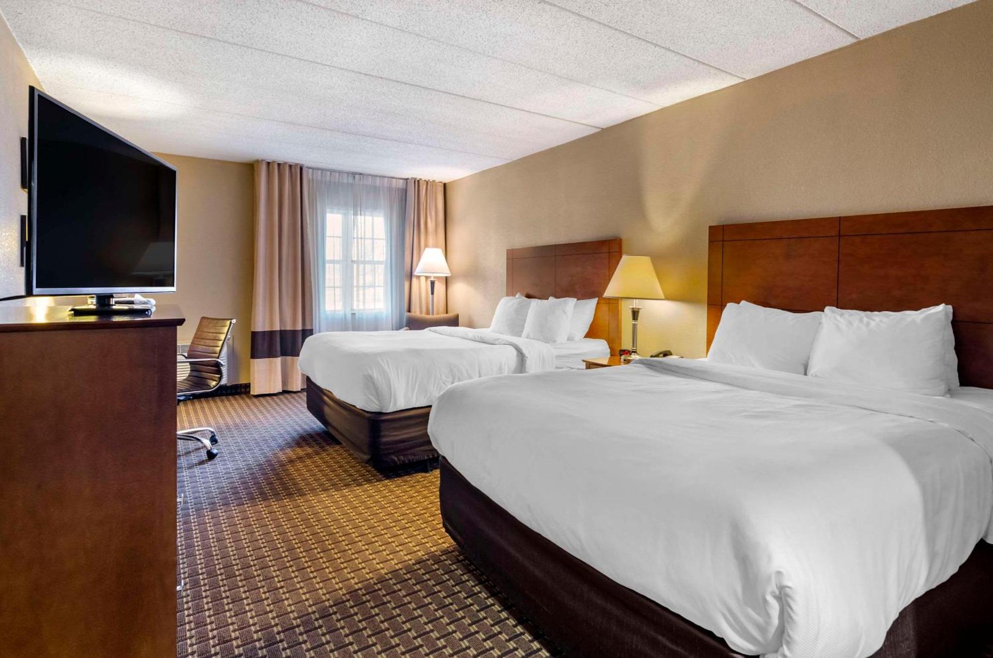 Comfort Inn & Suites Raphine - Lexington Near I-81 And I-64 Esterno foto